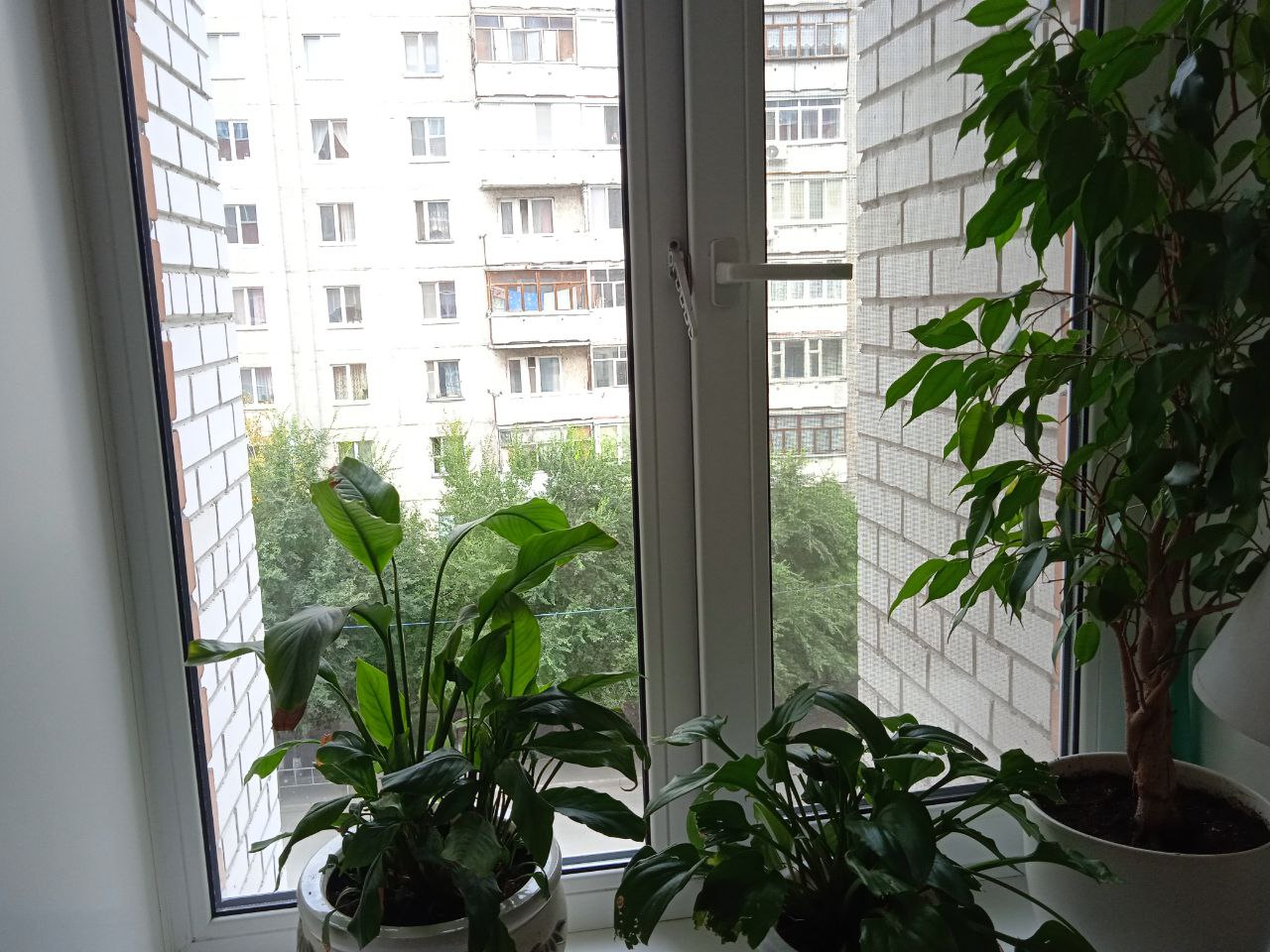 https://nizhnekamsk.delaem-okna.ru/storage/app/uploads/public/63f/332/8c0/63f3328c0d6f7867060515.jpg